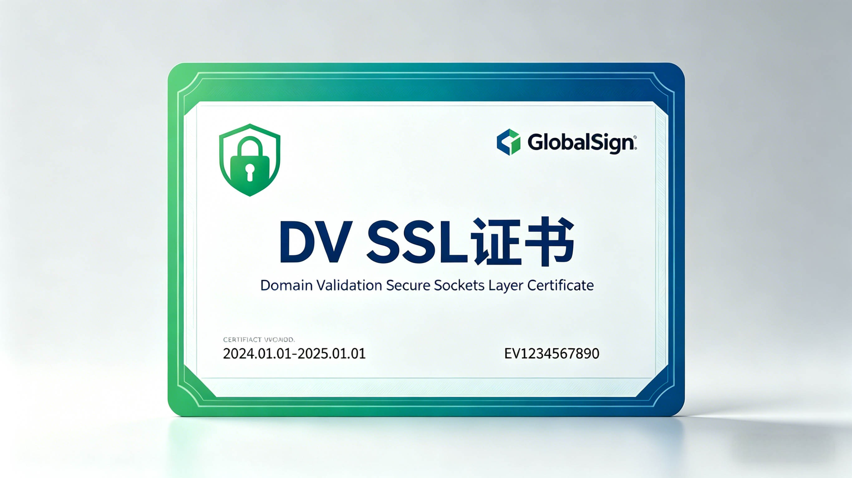 DV SSL证书