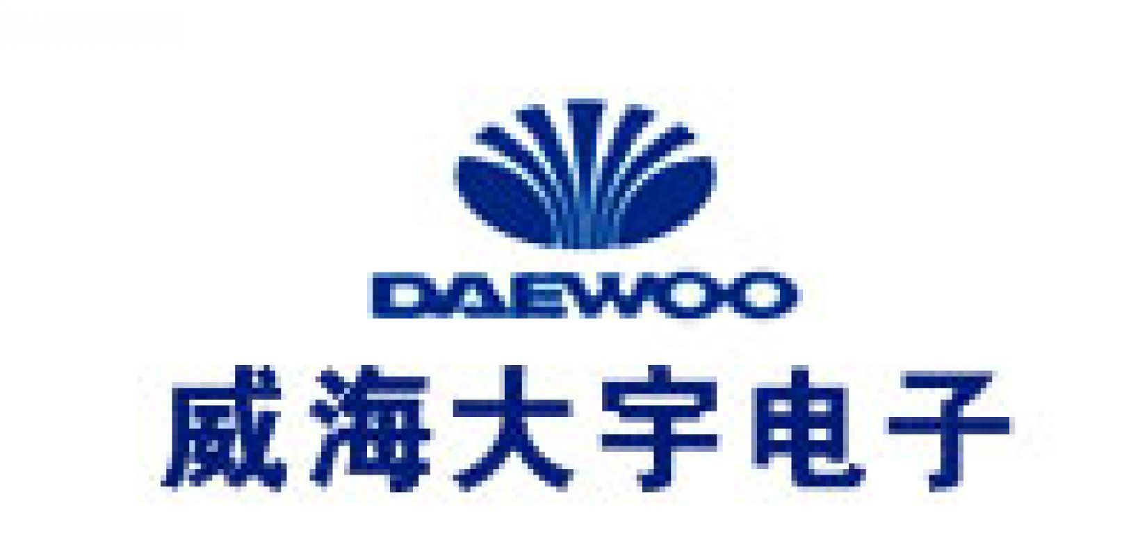 威海大宇